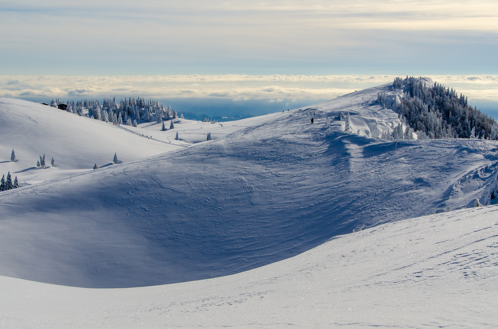 Velika Planina